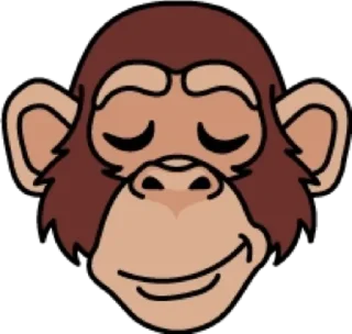 Sticker from Обезьяна @modnyashki_vip