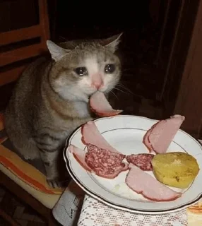 😢 emoji Sad cat @sticker_memes Telegram sticker 15 of 26