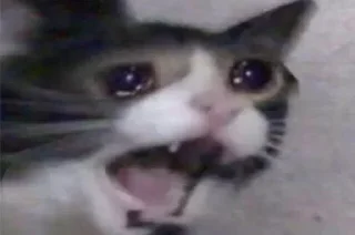 😢 emoji Sad cat @sticker_memes Telegram sticker 19 of 26