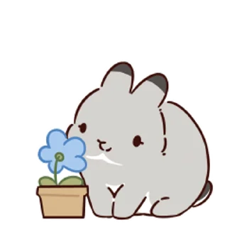 🐰 emoji 提摩西小队3 Telegram sticker 20 of 47