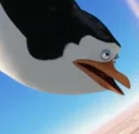 🐟 emoji Penguins.of.Madagascar [@stickIt] Telegram sticker 18 of 120