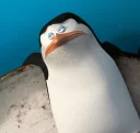 🐟 emoji Penguins.of.Madagascar [@stickIt] Telegram sticker 24 of 120