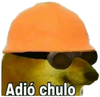 🦮 emoji Che cazzo trovo su Pinterest porco dio by @luighy Telegram sticker 17 of 76