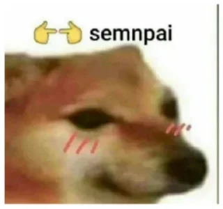 😳 emoji Che cazzo trovo su Pinterest porco dio by @luighy Telegram sticker 11 of 76