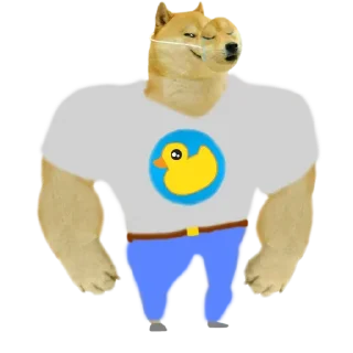 🦆 emoji DOGE @StickersPackRobot Telegram sticker 17 of 36