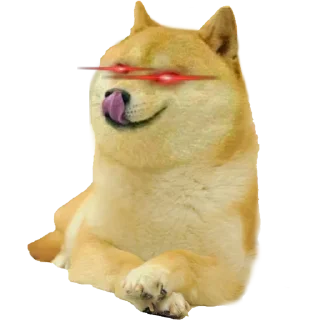 😉 emoji DOGE @StickersPackRobot Telegram sticker 11 of 36