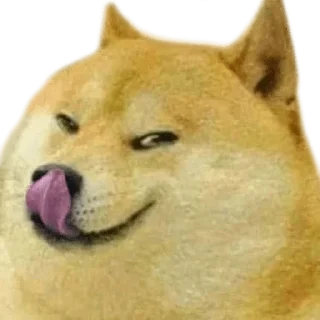 😉 emoji DOGE @StickersPackRobot Telegram sticker 4 of 36