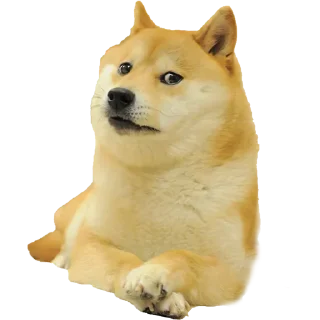 😨 emoji DOGE @StickersPackRobot Telegram sticker 6 of 36