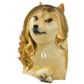 👩 emoji DOGE @StickersPackRobot Telegram sticker 7 of 36