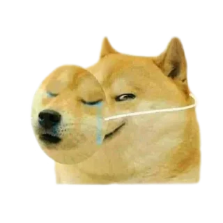 🥲 emoji DOGE @StickersPackRobot Telegram sticker 14 of 36