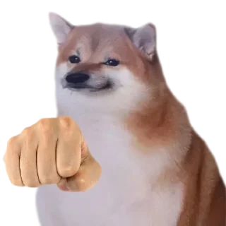 ✋ emoji DOGE @StickersPackRobot Telegram sticker 1 of 36