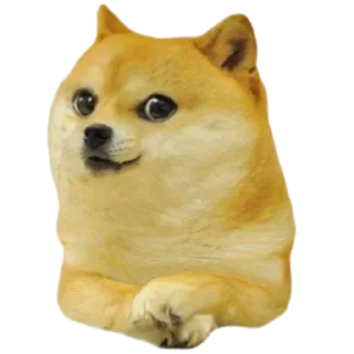 👶 emoji DOGE @StickersPackRobot Telegram sticker 12 of 36
