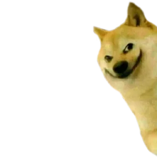 😀 emoji DOGE @StickersPackRobot Telegram sticker 3 of 36