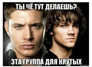 😎 emoji Лучшие стикери Telegram sticker 17 of 36