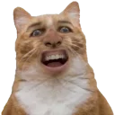 😳 emoji Mozh daily ✨ Telegram sticker 18 of 120