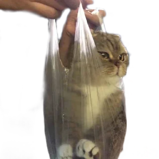 👜 emoji Mewmew Telegram sticker 24 of 35