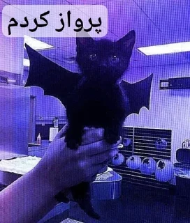 🪖 emoji لبخند* Telegram sticker 17 of 62
