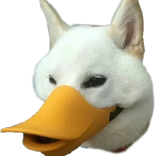 😏 emoji Duck Telegram sticker 12 of 23
