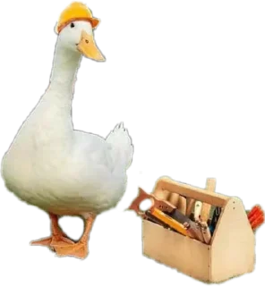 👷‍♂ emoji Duck Telegram sticker 14 of 23