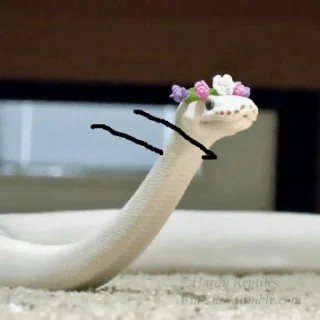 🐍 emoji Snake🐍 @ding_off Telegram sticker 13 of 45