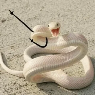 🐍 emoji Snake🐍 @ding_off Telegram sticker 11 of 45