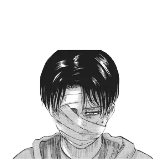 🚀 emoji Levi Ackerman Telegram sticker 10 of 40