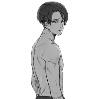 🚀 emoji Levi Ackerman Telegram sticker 13 of 40