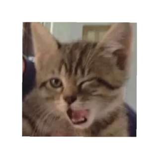 😄 emoji @Xo_1il1i😾 Telegram sticker 20 of 20