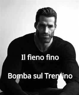 😎 emoji Proverbi dei Chad Telegram sticker 5 of 38