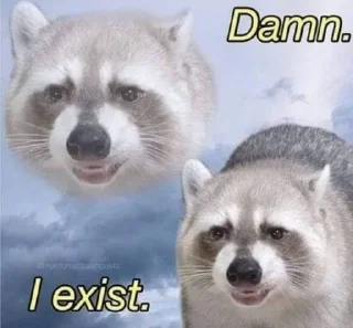 Sticker from The moody raccoon