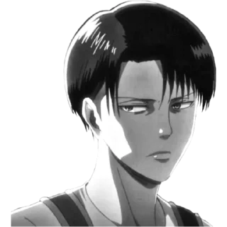 🚀 emoji Levi Ackerman Telegram sticker 24 of 40