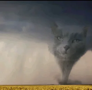 🌟 emoji Catto Telegram sticker 15 of 18