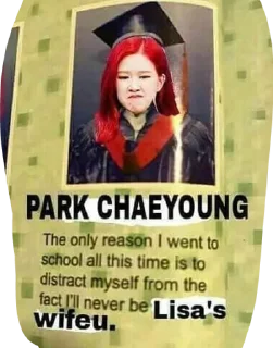 👩‍🎓 emoji blackpink Telegram sticker 19 of 62