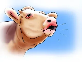 🐮 emoji I preferiti di Marviglio Telegram sticker 18 of 40