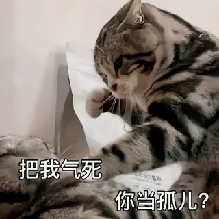 🤣 emoji @xqsj777 小七上架贴纸包1 Telegram sticker 6 of 115