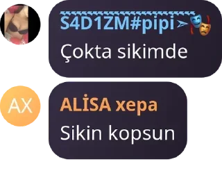 🚒 emoji ALİSA😁 | @maiinalisa Telegram sticker 12 of 110