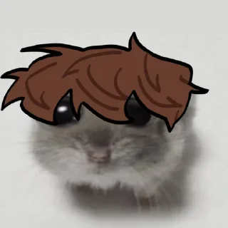 🥺 emoji sbghamsters Telegram sticker 9 of 11