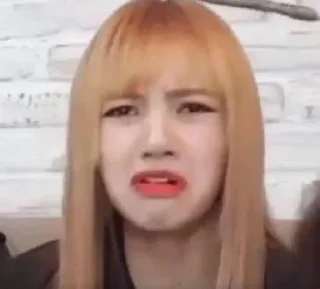 🤢 emoji lili @BLACKPINK4 Telegram sticker 24 of 70