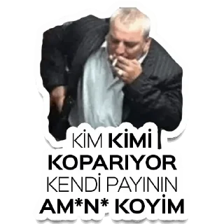 🎉 emoji Kolpaçino v1 Telegram sticker 4 of 20