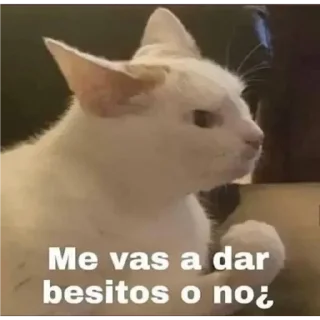 Sticker from Cereal 🥣