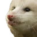 😙 emoji REAL Poss Stickers Telegram sticker 18 of 34
