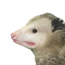 😐 emoji REAL Poss Stickers Telegram sticker 6 of 34