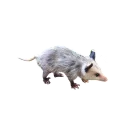 ☹ emoji REAL Poss Stickers Telegram sticker 9 of 34