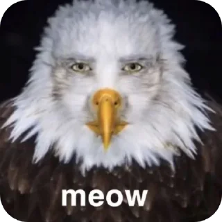 🦅 emoji О Господи 🇨🇳 Telegram sticker 22 of 120
