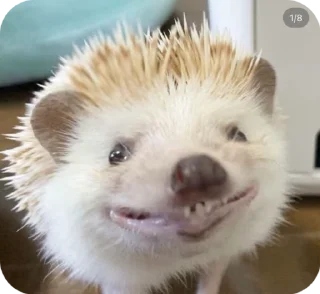 🌟 emoji даулянский пак Telegram sticker 10 of 21