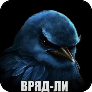 🐦 emoji Вряд ли —> @strikeers Telegram sticker 6 of 87