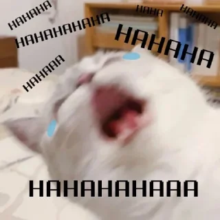 🌫 emoji Cat nana 🐱¦ovo¦ @johan_sticker Telegram sticker 2 of 30
