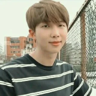 🐾 emoji Rm (@btsvideopic) Telegram sticker 15 of 30