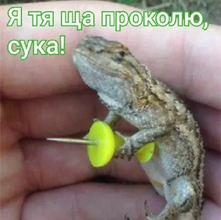 🦎 emoji Всякая хрень от @EspressoPatronuum Telegram sticker 16 of 115