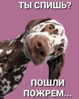 😎 emoji Всякая хрень от @EspressoPatronuum Telegram sticker 20 of 115